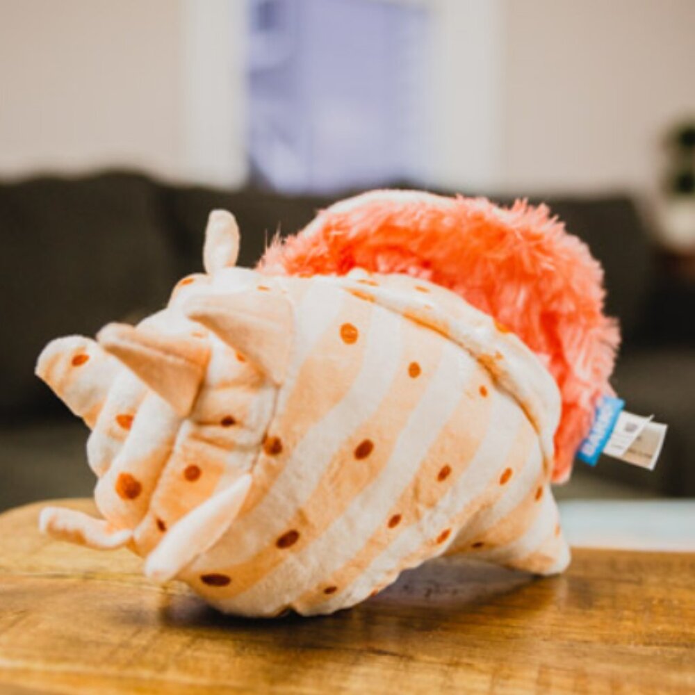 BarkBox - Paradise Unleashed - Cecil's Sea Shell